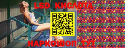 крисы Пенза