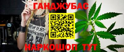 крисы Пенза