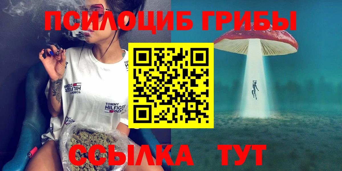 Сорочинск  Галлюциногенные грибы MAGIC MUSHROOMS  Вход с VPN 