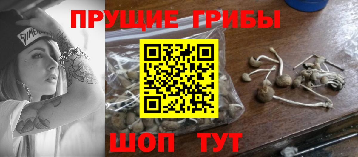 Галлюциногенные грибы прущие грибы Сорочинск